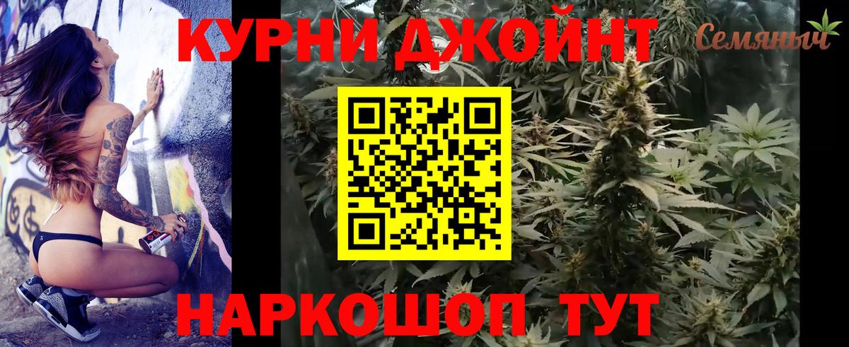 Бошки Шишки планчик Богданович